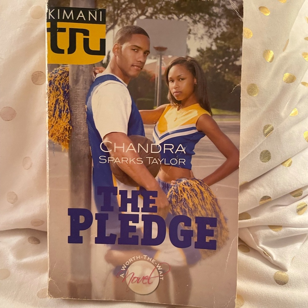 The Pledge book by Chandra Sparks Taylor